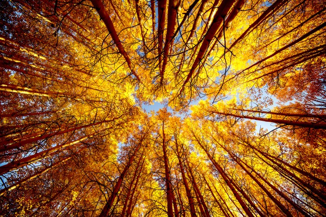 andrew-preble-187062