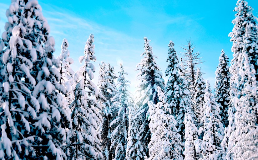 The Trouble with Unwelcome&nbsp;Guests