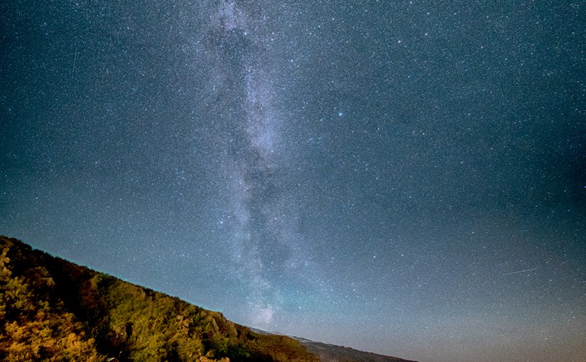 Facing Reality for the First&nbsp;Time